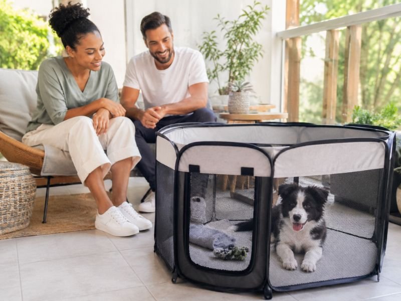 best puppy playpens