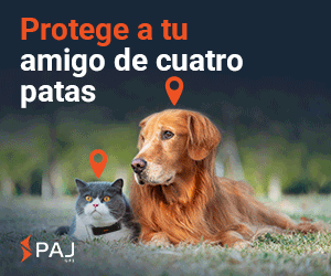 PAJ PET Finder 4G: Localizador GPS para perros