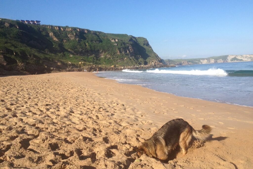 Bella en la playa, Suances Cantabria