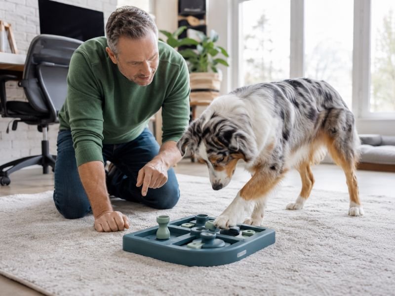 juguetes interactivos para perros