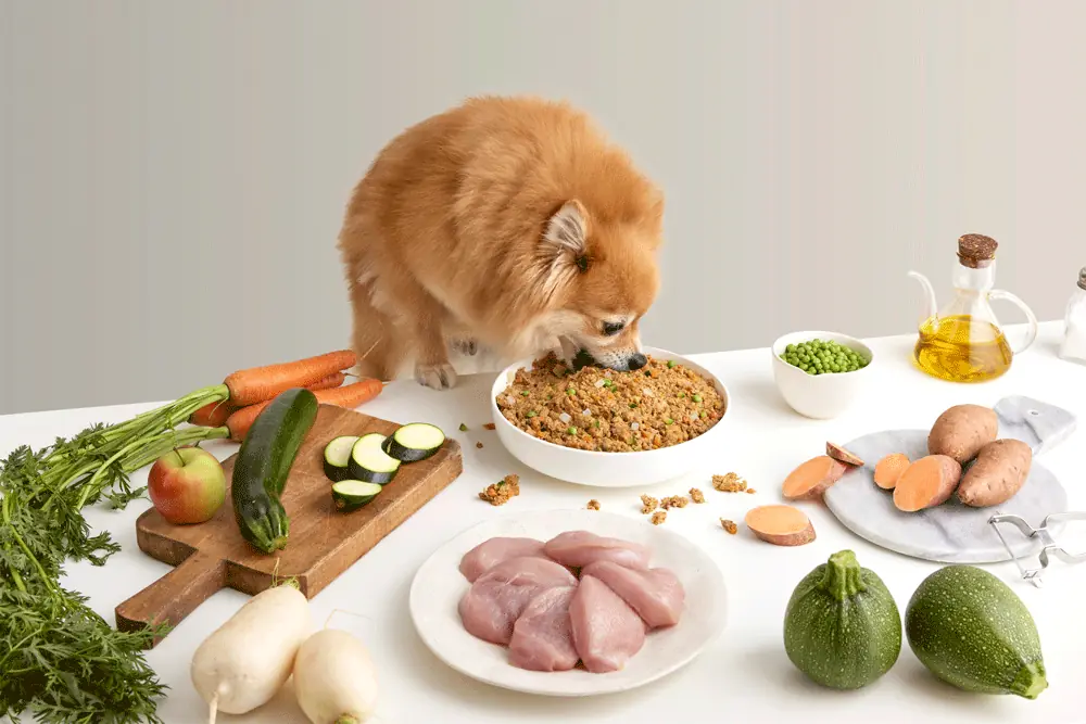 Dogfy Diet: comida natural cocinada para perros