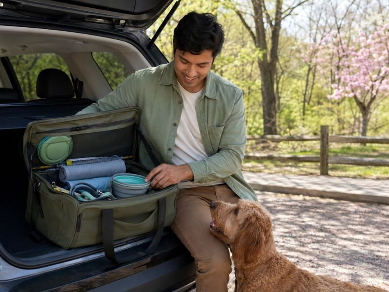 dog travel accessories